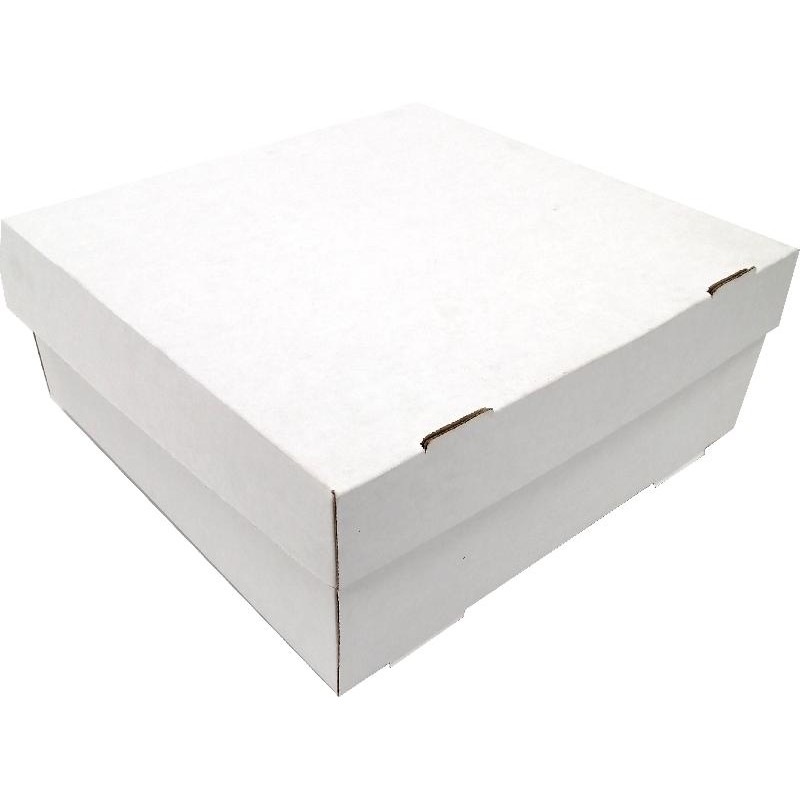 CAJA BIZCOCHO 10.5" - PAQ50