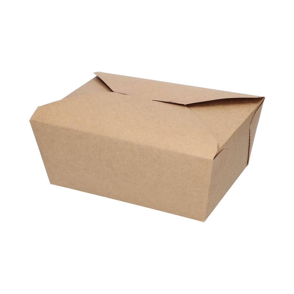 19058 CAJAS P/LLEVAR #4 BIO (TOB-K4) 4/40 CA - CAJA 160