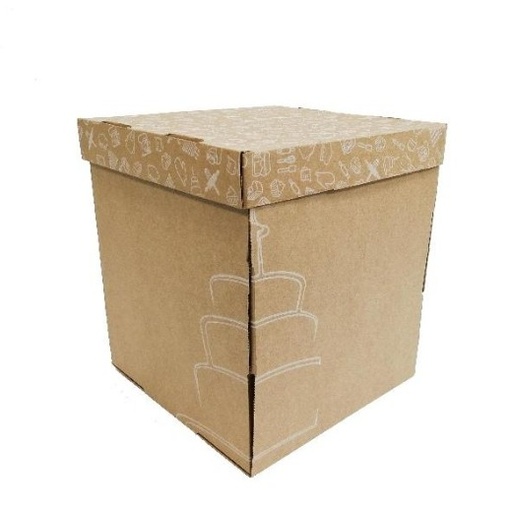 [PB0120-PAQ50] FDO. BIZCOCHO 15X15X16 TC - PAQ50